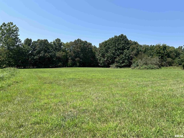 6617 Flyway Cir, Carbondale, IL 62902 - photo 8