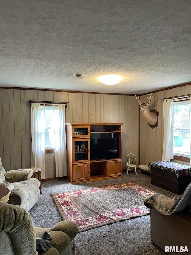 carpeted living room featuring wooden walls and a healthy amount of sunlight