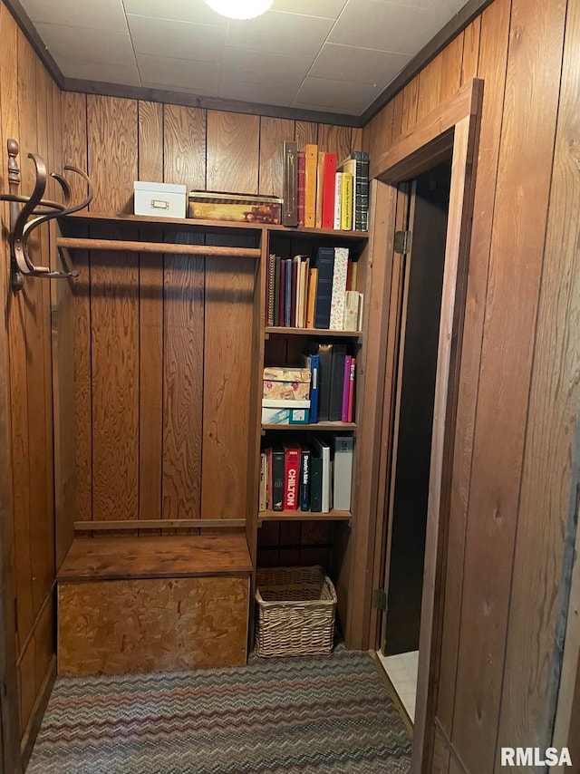 interior space featuring wood walls and carpet floors