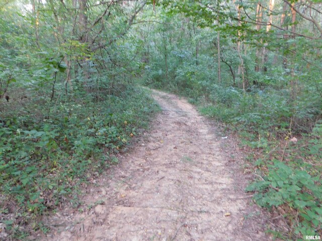 4026 Waggoner Rd, Iuka, IL 62881 - photo 14