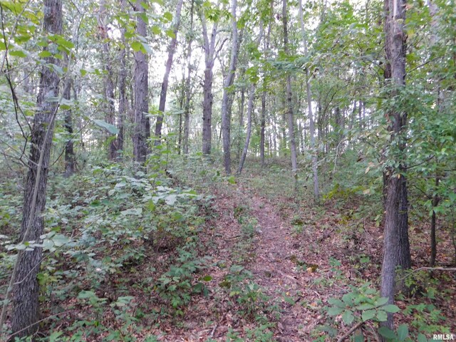 4026 Waggoner Rd, Iuka, IL 62881 - photo 15
