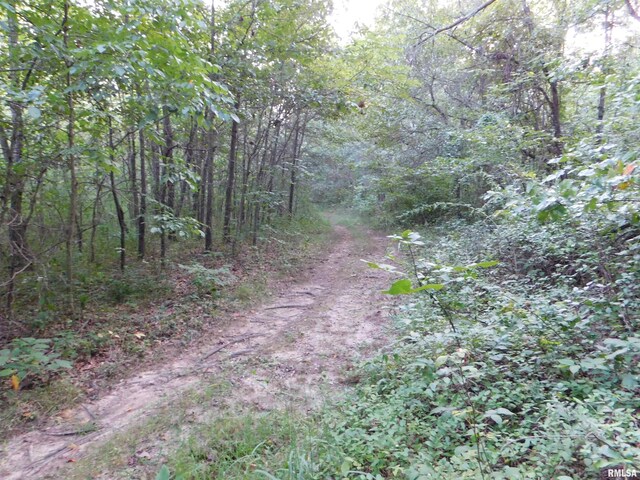 4026 Waggoner Rd, Iuka, IL 62881 - photo 16