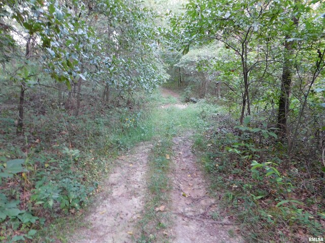 4026 Waggoner Rd, Iuka, IL 62881 - photo 17