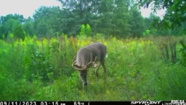 4026 Waggoner Rd, Iuka, IL 62881 - photo 18