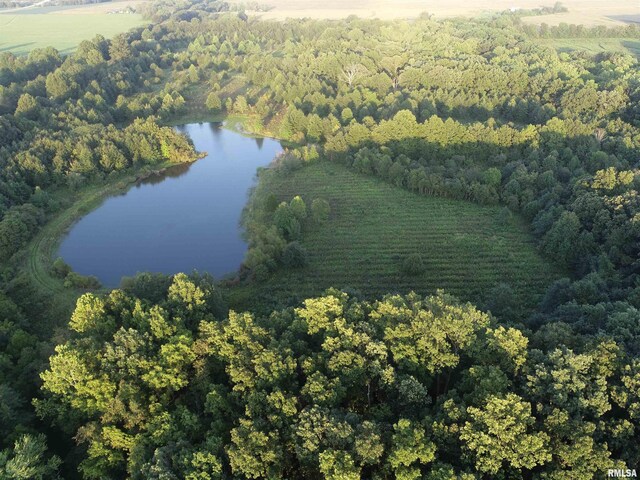4026 Waggoner Rd, Iuka, IL 62881 - photo 3
