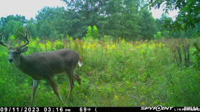 4026 Waggoner Rd, Iuka, IL 62881 - photo 22