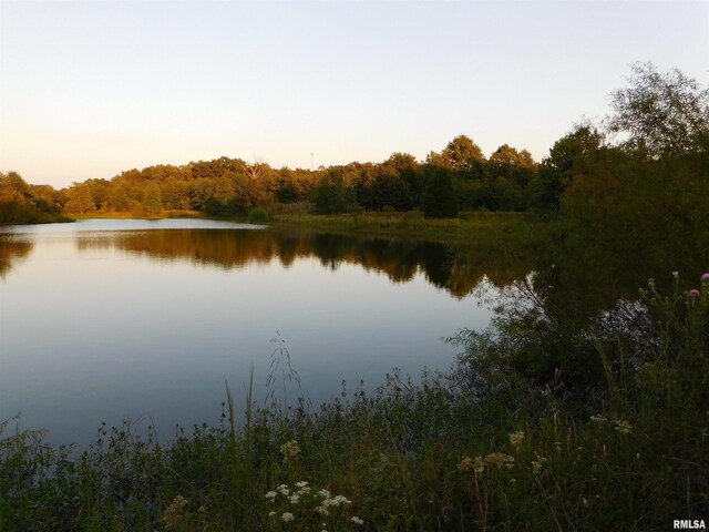 4026 Waggoner Rd, Iuka, IL 62881 - photo 25