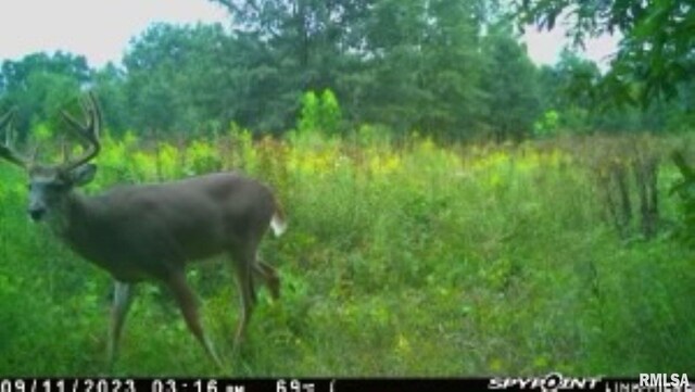 4026 Waggoner Rd, Iuka, IL 62881 - photo 26
