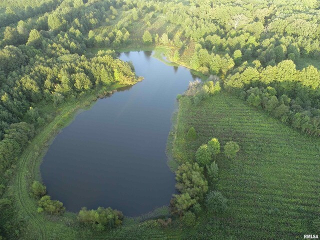 4026 Waggoner Rd, Iuka, IL 62881 - photo 5