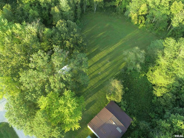 4026 Waggoner Rd, Iuka, IL 62881 - photo 6