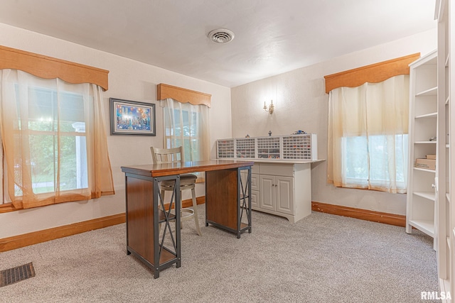 carpeted office space with a healthy amount of sunlight