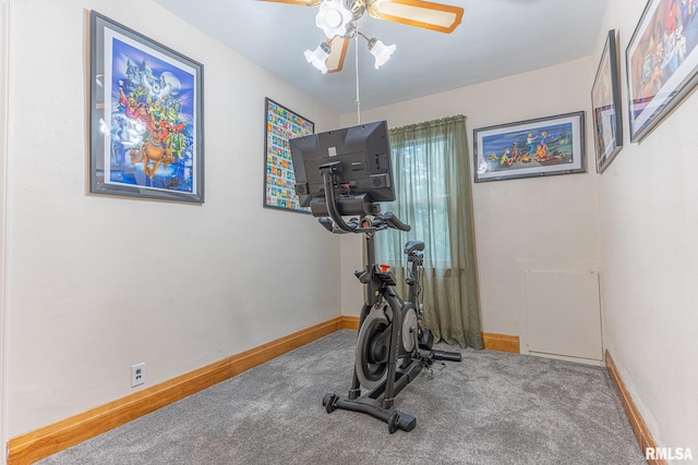 exercise area featuring ceiling fan and carpet