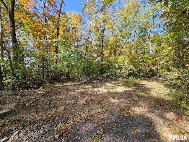 0000 N Cash Ln, Waltonville, IL 62894 - photo 2