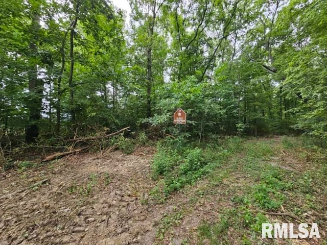 0000 N Cash Ln, Waltonville, IL 62894