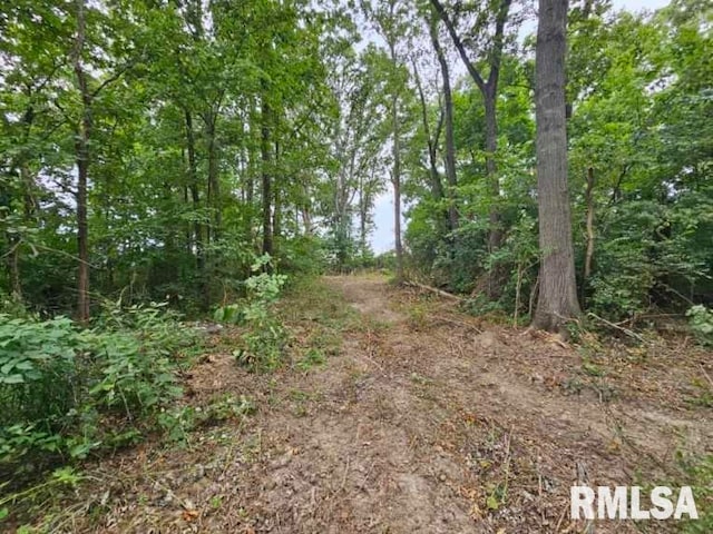 0000 N Cash Ln, Waltonville, IL 62894