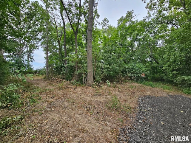 0000 N Cash Ln, Waltonville, IL 62894 - photo 15