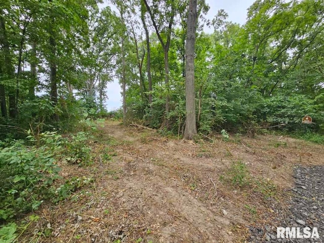 0000 N Cash Ln, Waltonville, IL 62894