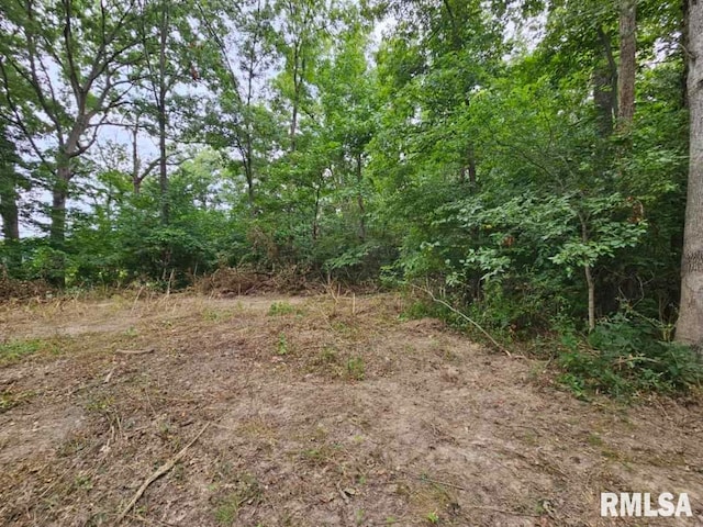 0000 N Cash Ln, Waltonville, IL 62894