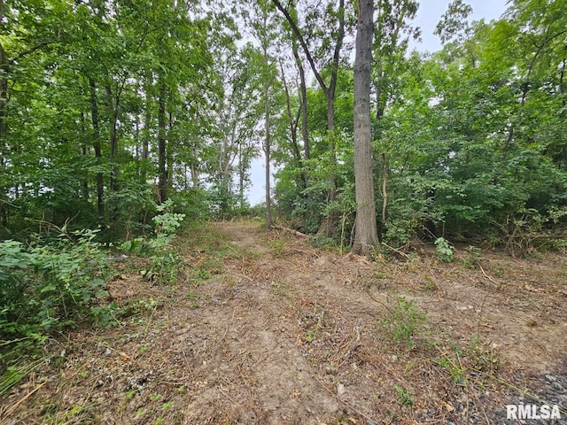 0000 N Cash Ln, Waltonville, IL 62894