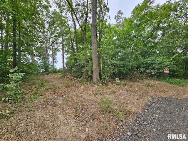 0000 N Cash Ln, Waltonville, IL 62894 - photo 19