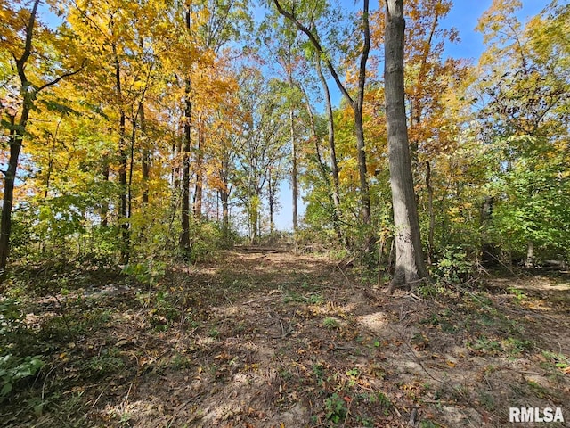 0000 N Cash Ln, Waltonville, IL 62894