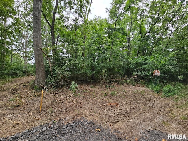 0000 N Cash Ln, Waltonville, IL 62894