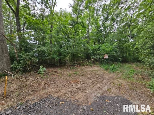 0000 N Cash Ln, Waltonville, IL 62894