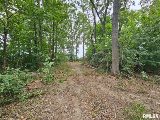 0000 N Cash Ln, Waltonville, IL 62894