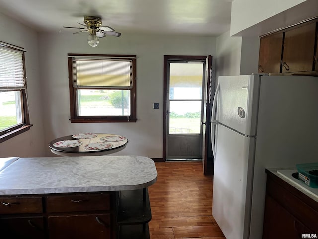 kitchen with ceiling fan, dark brown cabinetry, white fridge, and wood-type flooring