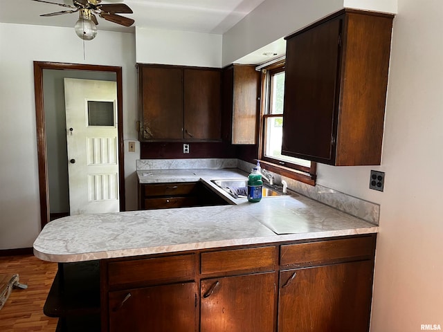 kitchen featuring ceiling fan, sink, hardwood / wood-style floors, and dark brown cabinets