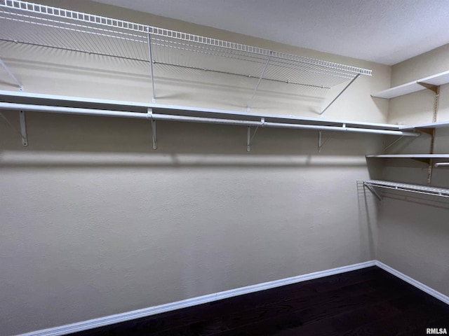 walk in closet featuring wood finished floors