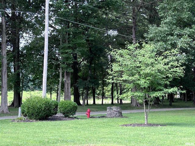 view of home's community with a yard