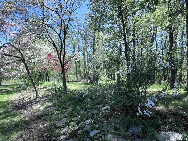 view of nature with a forest view