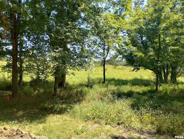 000 Casper Church Rd, Cobden, IL 62920