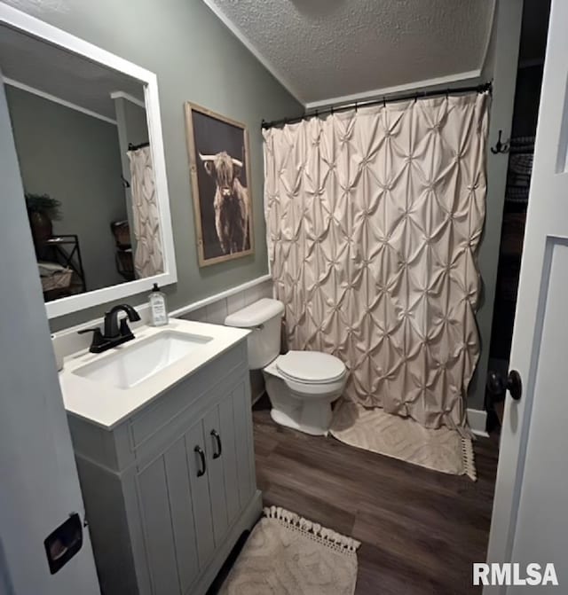 bathroom featuring toilet, a textured ceiling, vanity, and wood-type flooring