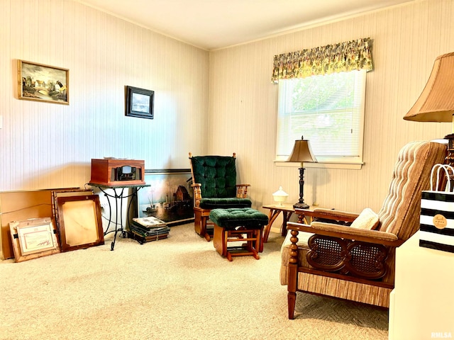 sitting room featuring carpet flooring