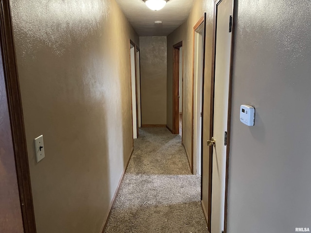 corridor with light colored carpet