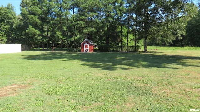 view of yard with a storage shed