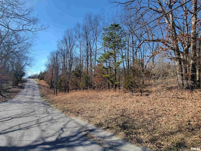 0000 N Indian Creek Rd, Goreville IL, 62896 land for sale