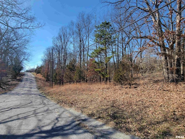 0000 N Indian Creek Rd, Goreville, IL 62896 - photo 1