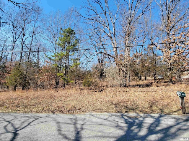 0000 N Indian Creek Rd, Goreville, IL 62896 - photo 2
