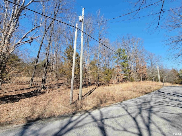 0000 N Indian Creek Rd, Goreville, IL 62896 - photo 3