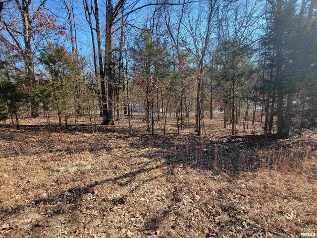 0000 N Indian Creek Rd, Goreville, IL 62896 - photo 4