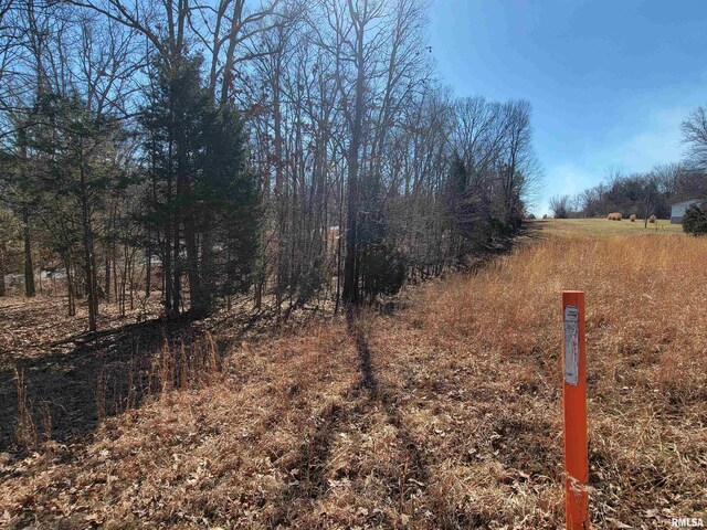 0000 N Indian Creek Rd, Goreville, IL 62896 - photo 5