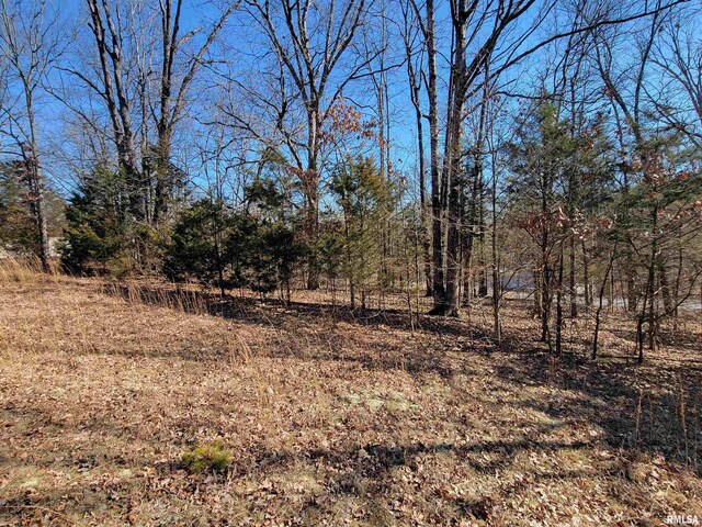 0000 N Indian Creek Rd, Goreville, IL 62896 - photo 6