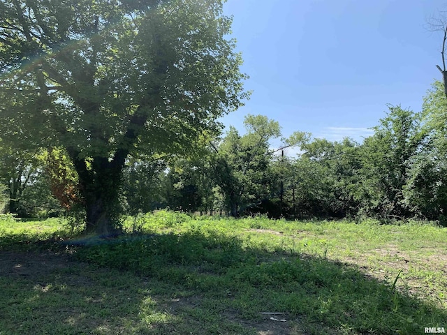 5281-5287 Country Club Rd Unit 2, Murphysboro, IL 62966 - view of local wilderness