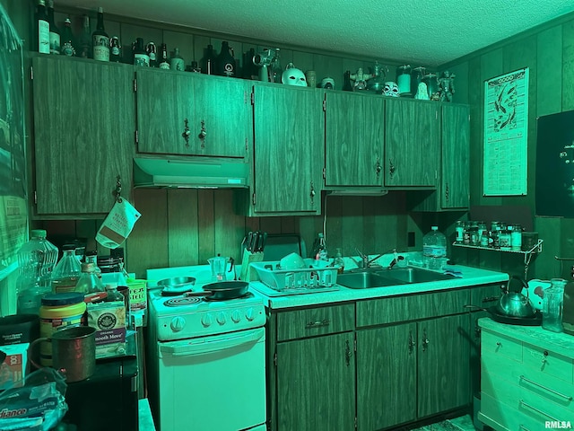 5281-5287 Country Club Rd Unit 2, Murphysboro, IL 62966 - kitchen featuring white range with electric stovetop, exhaust hood, a textured ceiling, and light countertops