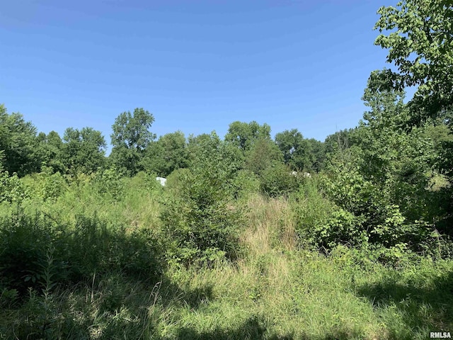 view of landscape with a wooded view