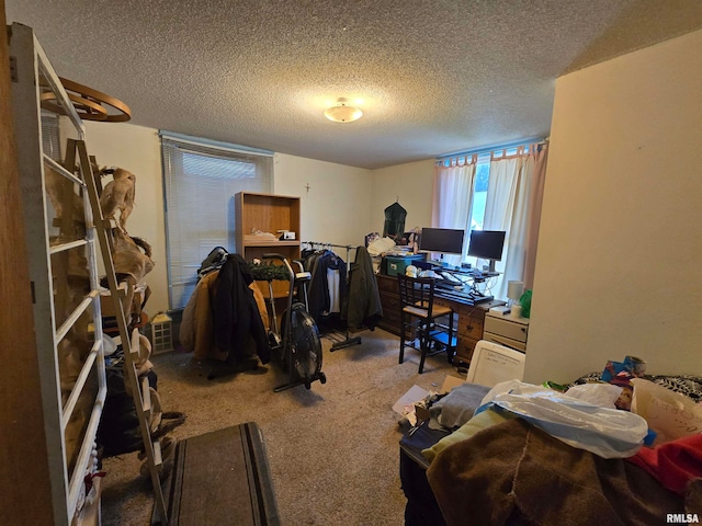 interior space with a textured ceiling and carpet