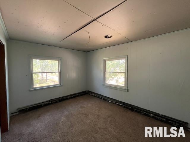 unfurnished room featuring a wealth of natural light and carpet